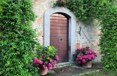 Historic Villa for sale Lazio, Entrance