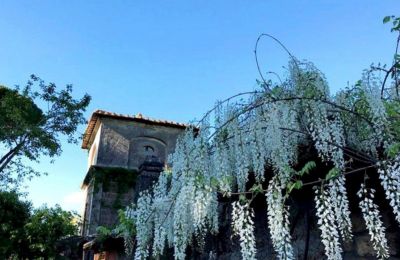 Historic Villa for sale Lazio, Tower