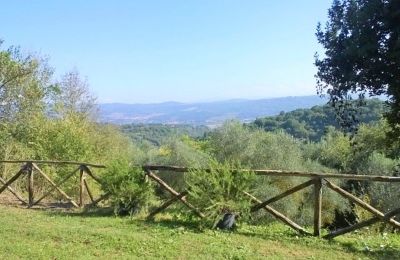 Historic Villa for sale Lazio:  View