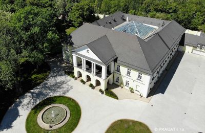 Character Properties, Castle for sale near Prague