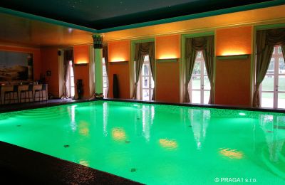 Castle for sale Prague, Pool