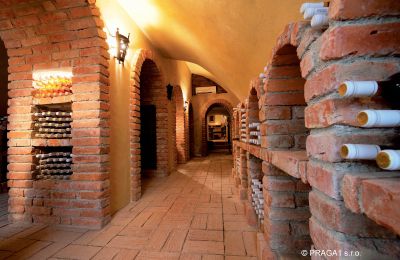 Castle for sale Prague, Wine cellar
