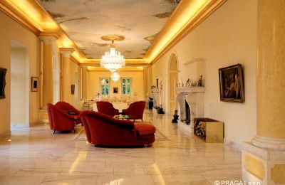 Castle for sale Prague, Drawing room
