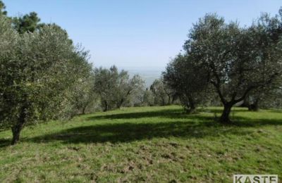 Country home for sale Rivalto, Tuscany, Photo 8/15