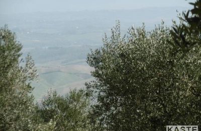 Country home for sale Rivalto, Tuscany, Photo 10/15