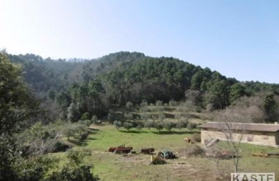 Country home for sale Rivalto, Tuscany, Photo 12/15
