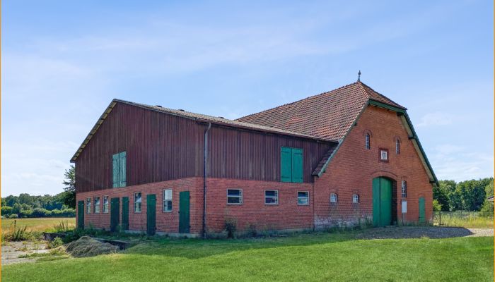Farmhouse Elmenhorst 3