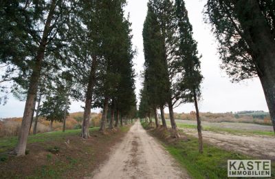 Monastery for sale Peccioli, Tuscany, Photo 20/28