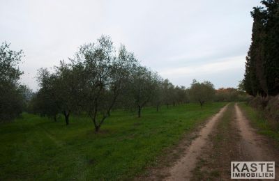 Monastery for sale Peccioli, Tuscany:  