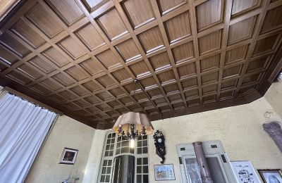 Historic Villa for sale 28823 Ghiffa, Piemont, Photo 10/40