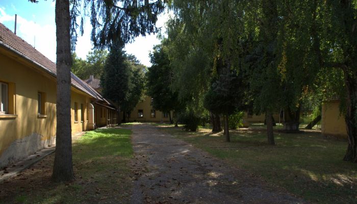 Manor House Kravany nad Dunajom 3