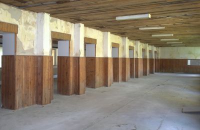 Manor House for sale Nitra Region, Photo 7/19