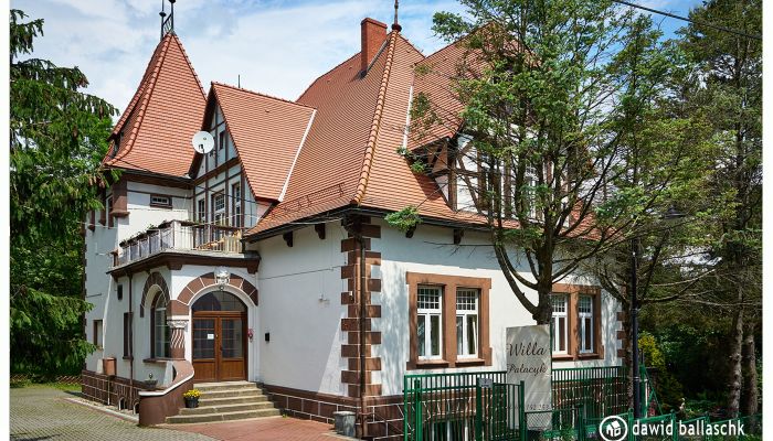 Historic Villa Świeradów-Zdrój 2
