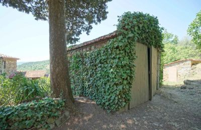 Farmhouse for sale 06060 Lisciano Niccone, Umbria:  