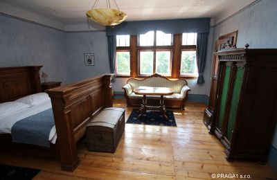 Castle for sale okres České Budějovice, Photo 12/21