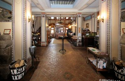 Castle for sale okres České Budějovice, Entrance Hall