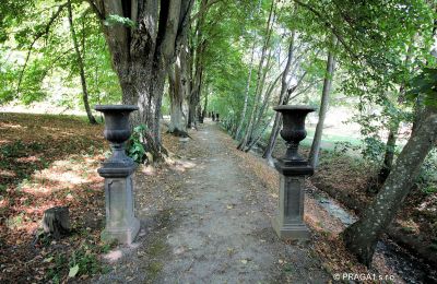 Castle for sale Jihočeský kraj:  Palace Garden