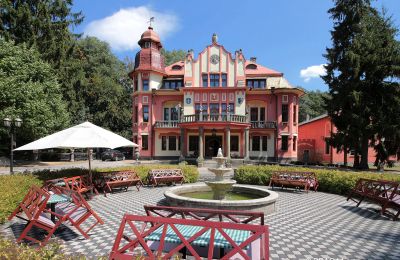 Castle for sale Jihočeský kraj:  Front view