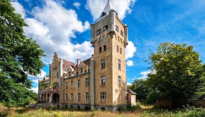 Castle for sale Dobrowo, West Pomeranian Voivodeship,  Poland