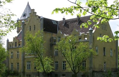 Castle for sale Dobrowo, West Pomeranian Voivodeship:  Back view