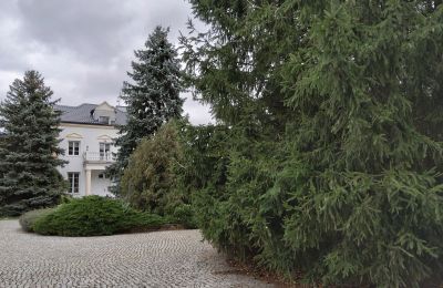 Manor House for sale Zarębów, Dwór w Zarębowie, Łódź Voivodeship:  