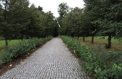 Manor House for sale Zarębów, Dwór w Zarębowie, Łódź Region, Access