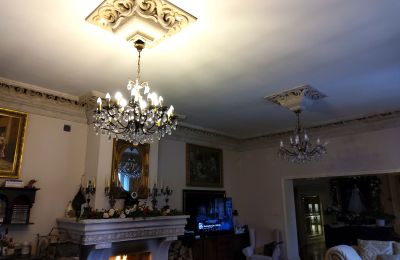 Manor House for sale Zarębów, Dwór w Zarębowie, Łódź Region, Photo 8/22