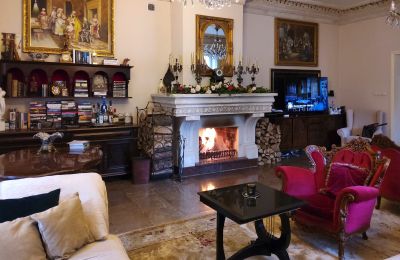 Manor House for sale Zarębów, Dwór w Zarębowie, Łódź Region, Photo 6/22