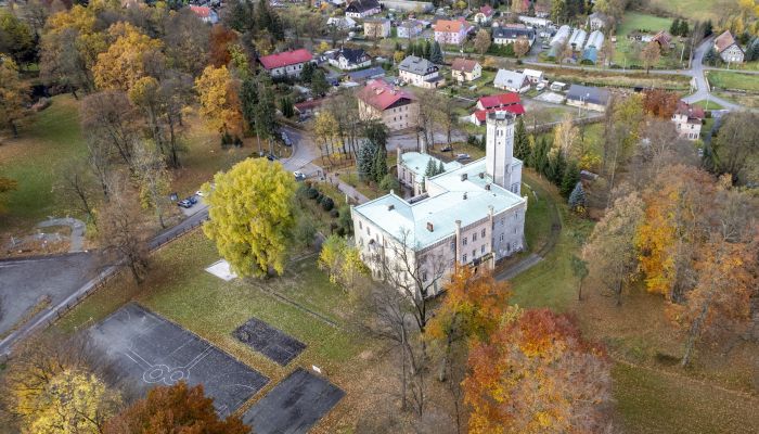 Castle Mysłakowice 3