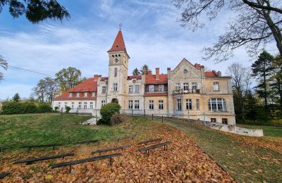 Castle for sale Grabiszyce Średnie, ul. Baworowo 14, Lower Silesian Voivodeship:  Exterior View