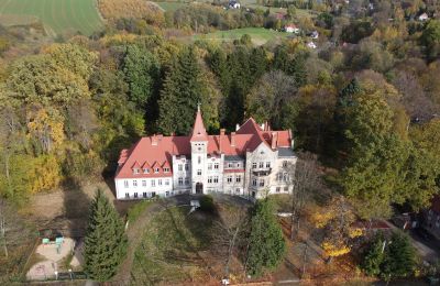 Castle for sale Grabiszyce Średnie, ul. Baworowo 14, Lower Silesian Voivodeship:  