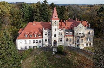 Castle for sale Grabiszyce Średnie, ul. Baworowo 14, Lower Silesian Voivodeship:  Front view