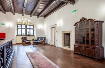 Manor House for sale Sędzisław, Dwór w Sędzisławiu, Lower Silesia, Photo 10/29