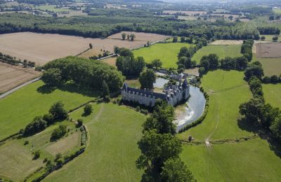 Castle for sale Le Mans, Pays de la Loire:  Property