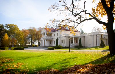 Manor House for sale Zborów, Kownackiej 33, Greater Poland, Side view