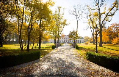 Manor House for sale Zborów, Kownackiej 33, Greater Poland, Access