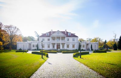 Manor House for sale Zborów, Kownackiej 33, Greater Poland Voivodeship:  Front view