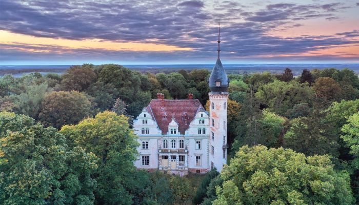 Castle for sale Kruszewo, Greater Poland Voivodeship,  Poland
