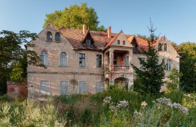 Castle for sale Wojczyce, Lower Silesia, Photo 1/12