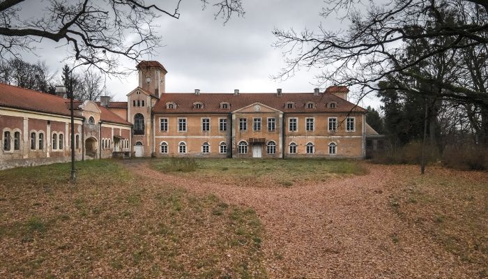 Castle for sale Dobrocin, Warmian-Masurian Voivodeship,  Poland