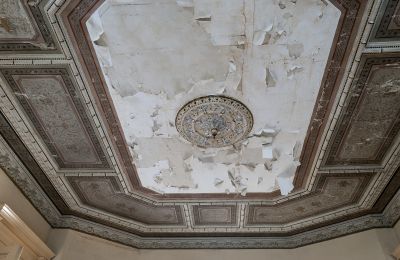 Castle for sale Głuchowo, Palac 1, Greater Poland, Ceiling