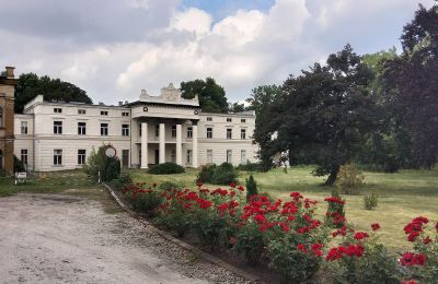 Castle for sale Głuchowo, Palac 1, Greater Poland, Access