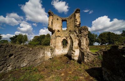 Medieval Castle for sale Ćmielów, Holy Cross Region, Photo 3/16