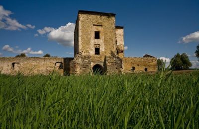 Medieval Castle for sale Ćmielów, Holy Cross Region, Photo 2/16