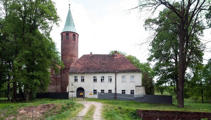 Medieval Castle Karłowice 2