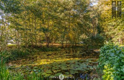 Manor House for sale Żychlin, Łódź Region, Photo 8/43