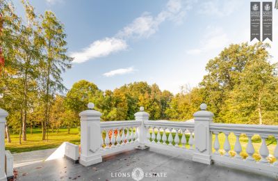 Manor House for sale Żychlin, Łódź Region, Photo 43/43