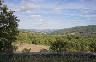 Historical tower for sale 06019 Spedalicchio, Umbria, Photo 29/31