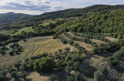 Historical tower for sale 06019 Spedalicchio, Umbria:  