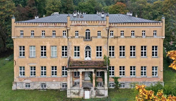 Castle for sale powiat gorzowski, gmina Witnica, Dąbroszyn